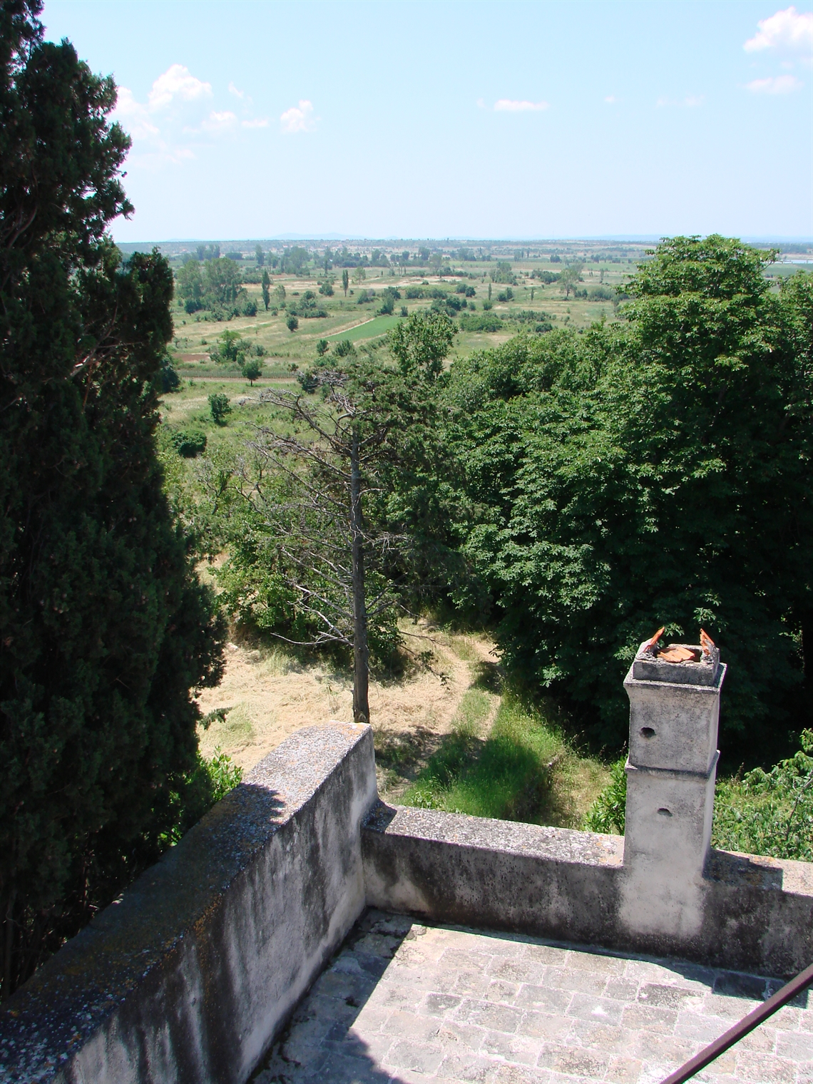 Image description